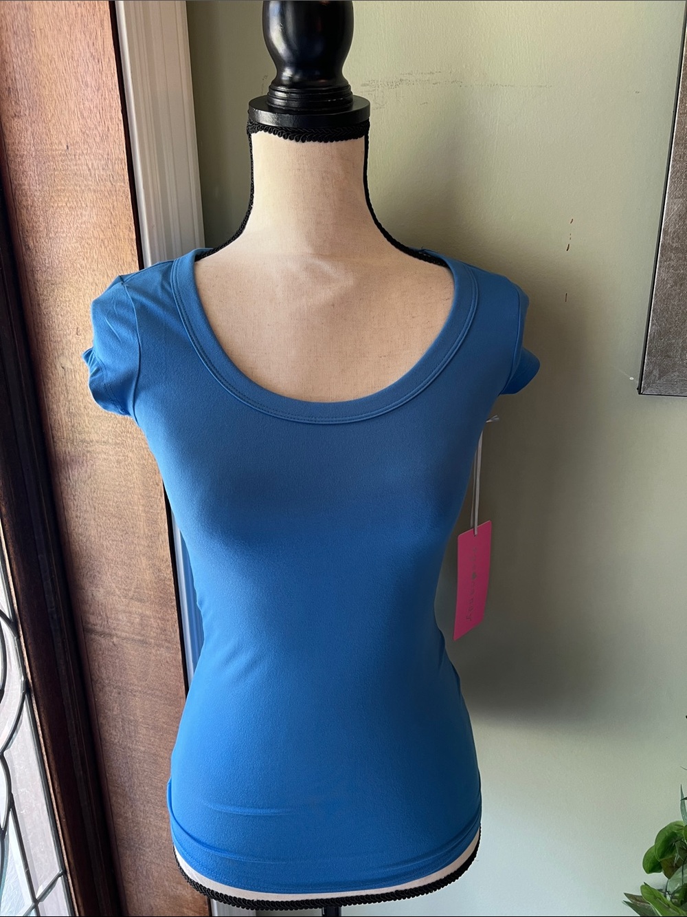 eye candy Blue Scoop-Neck Fitted Short Sleeve Top